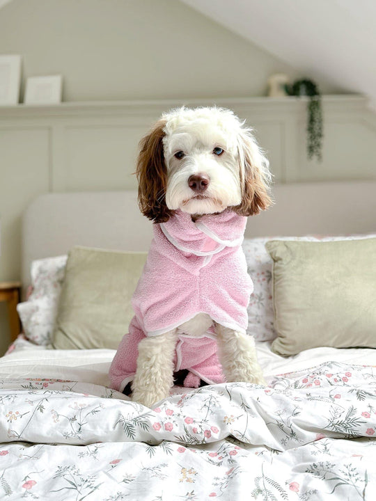 Manteau De Séchage Pour Chien Twyzzle